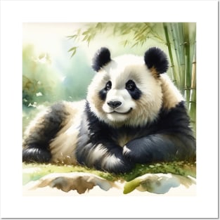 Tranquil Majesty: Serene Giant Panda Watercolor Posters and Art